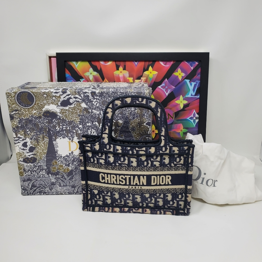 Dior Mini book Tote